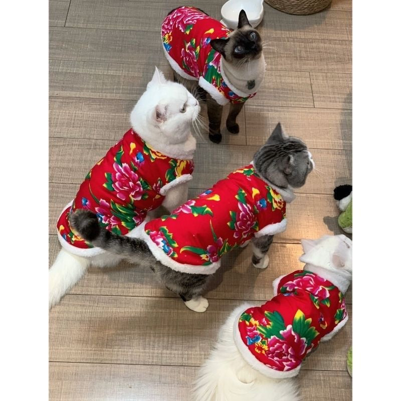Cat clothes