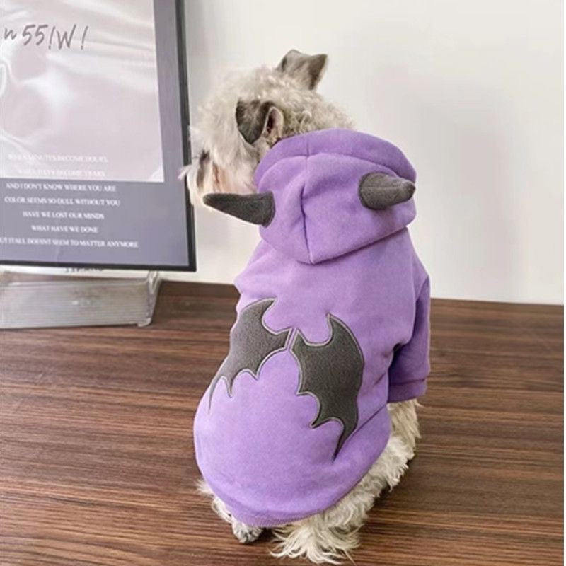 Cat clothes